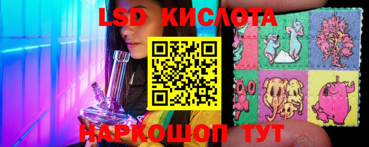 Псилоцибиновые грибы Ангарск